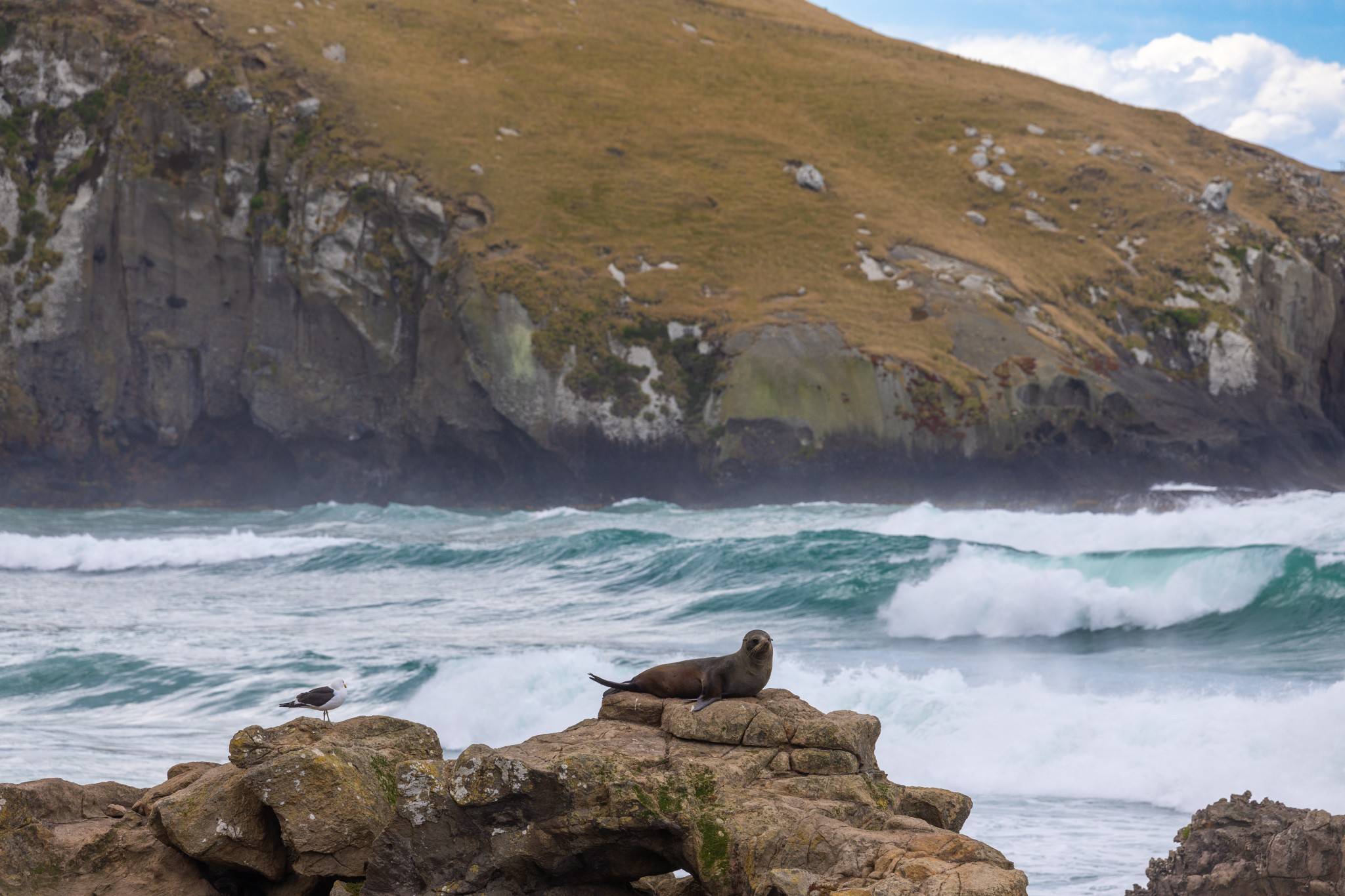 Founders' Journey 2025: 12 Day from Melbourne to Auckland on Silversea Nova